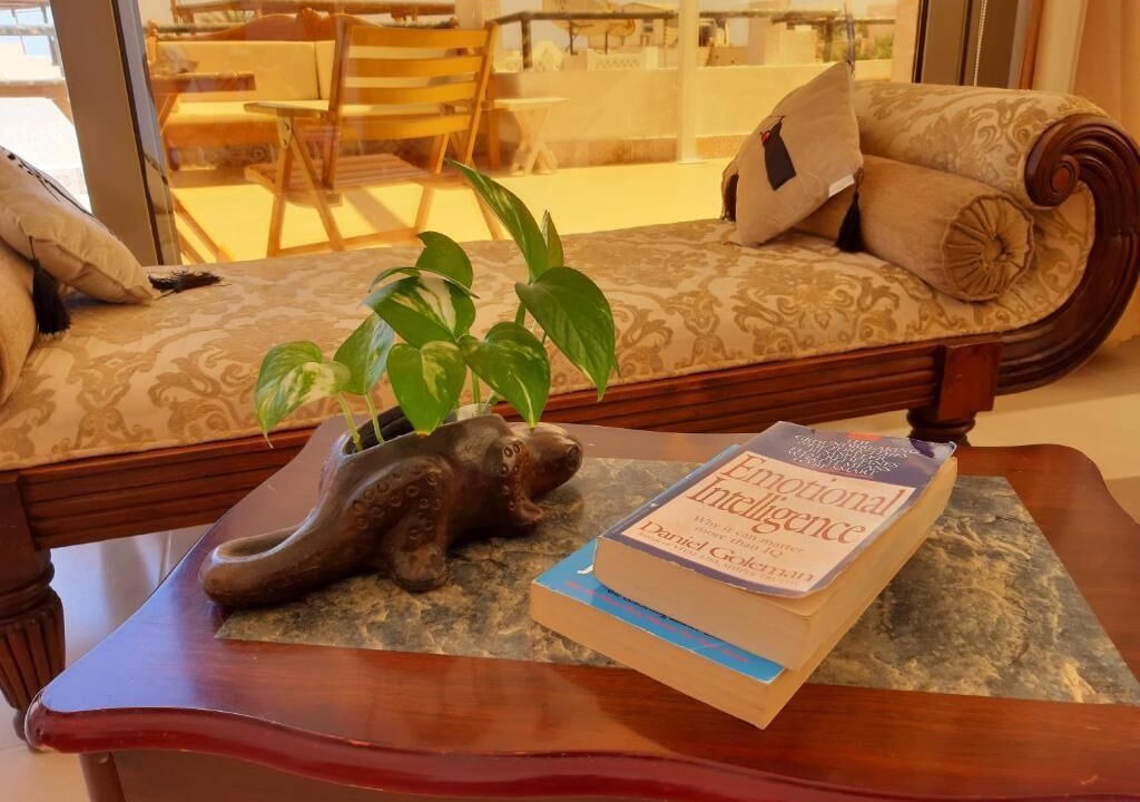 Photo of Others in Sharm El Sheikh