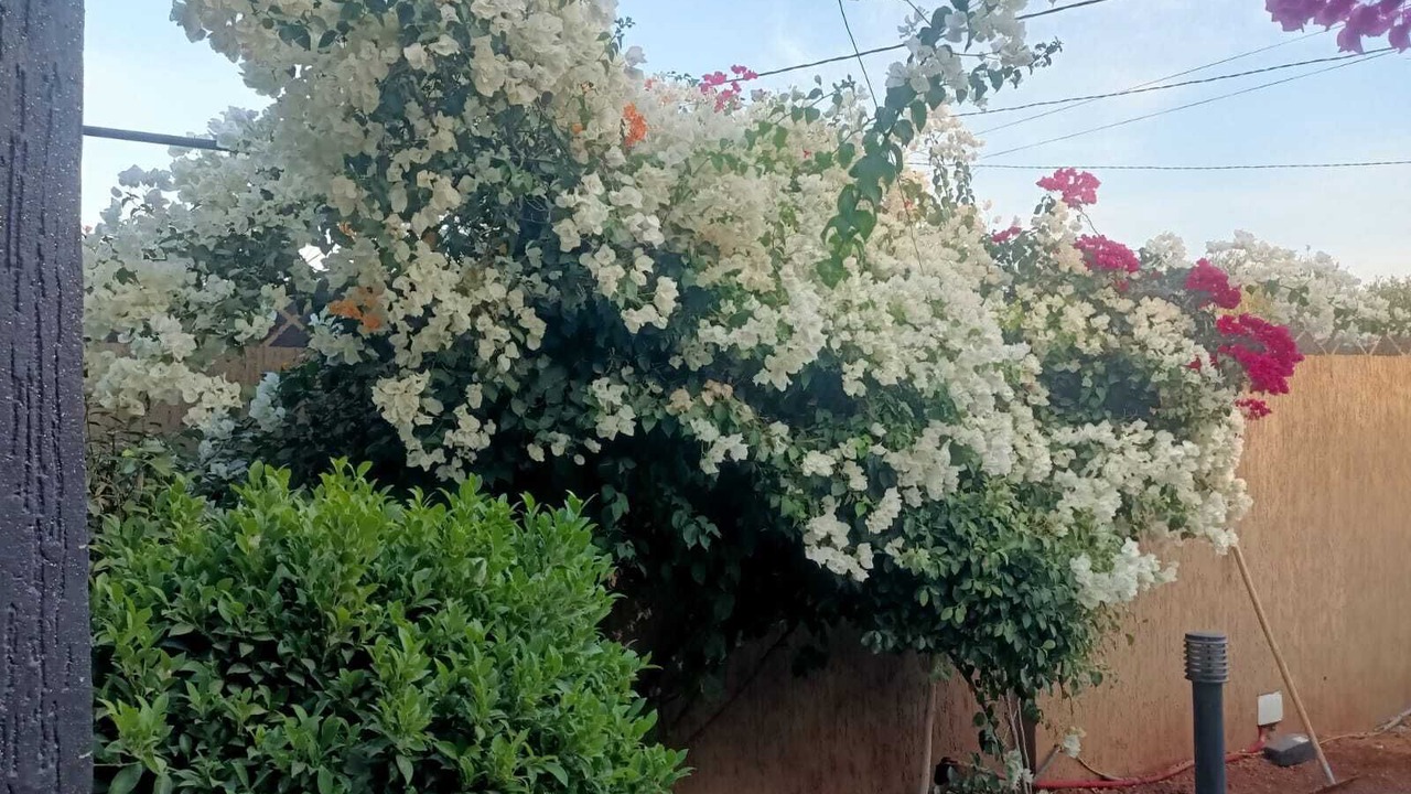 Photo of Outdoor in Aguergour