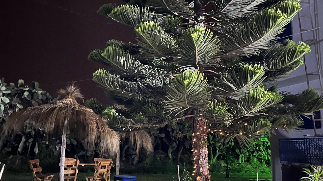 Photo of Outdoor in El Maamoura