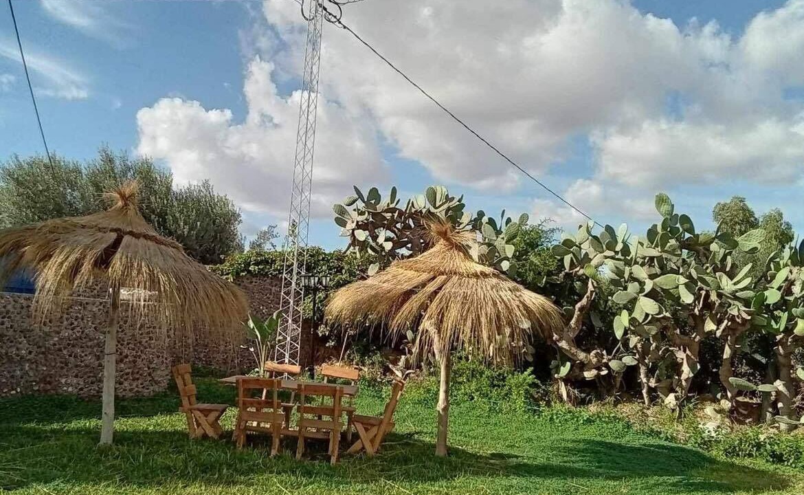 Photo of Outdoor in El Maamoura
