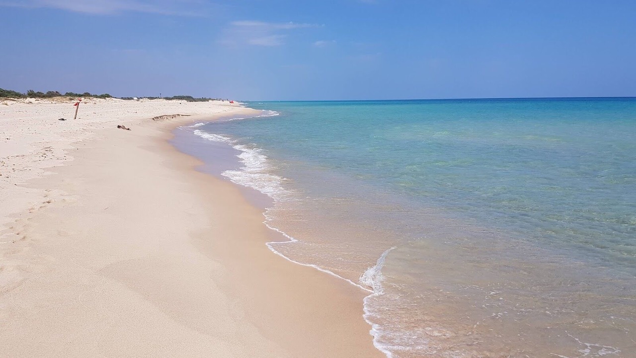 Photo of Others in El Maamoura