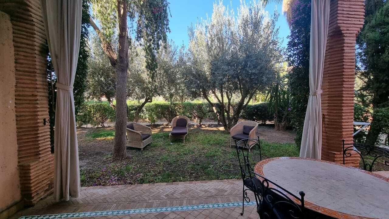 Photo of Outdoor in Palmeraie