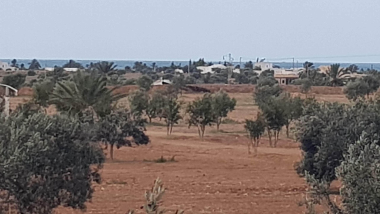 Photo of Outdoor in Mellita