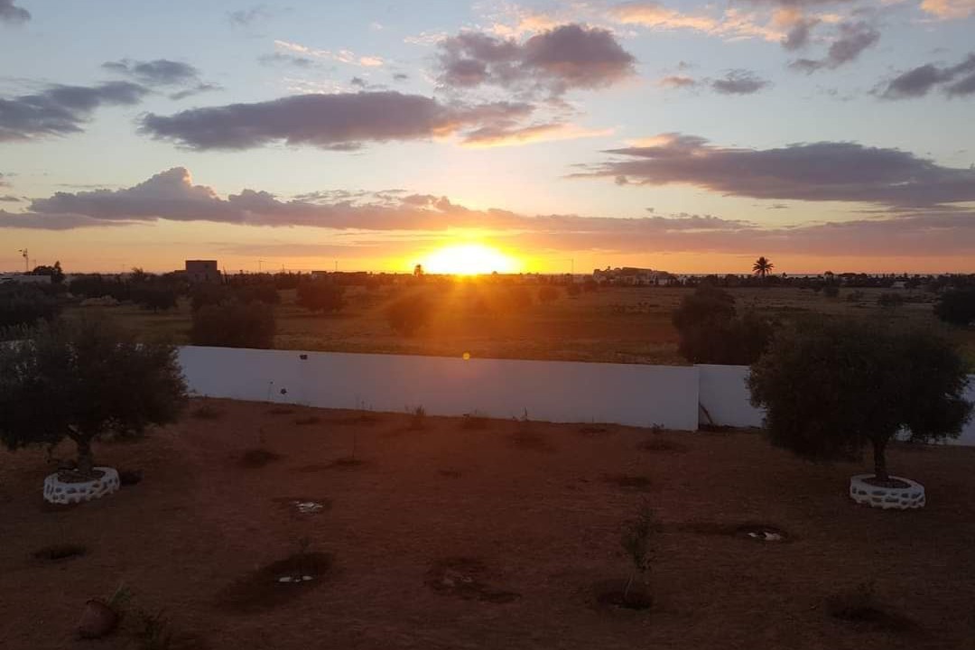 Photo of Outdoor in Mellita