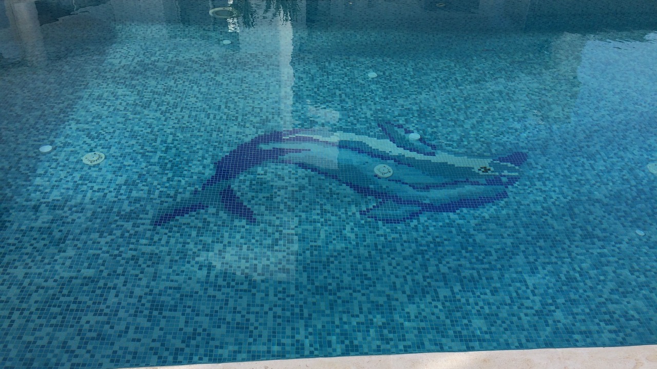 Photo of Outdoor in La Marsa
