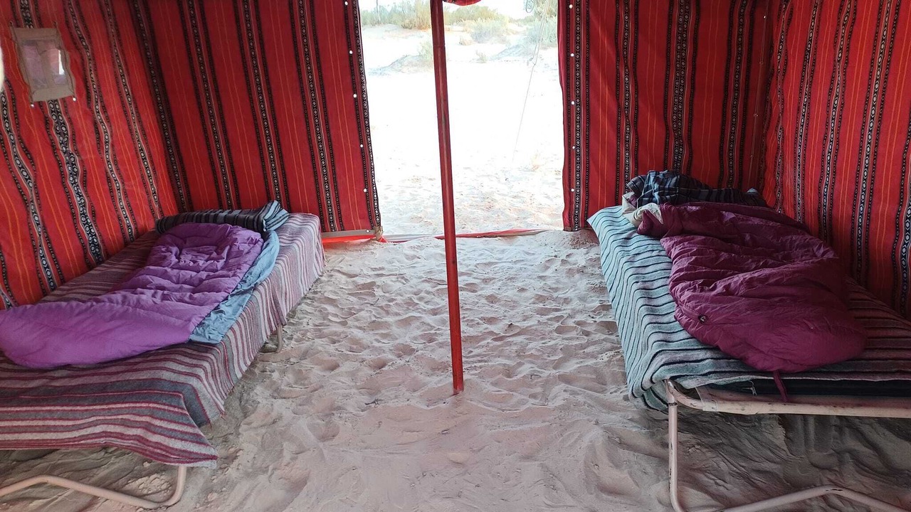 Photo of Bedroom in Douz