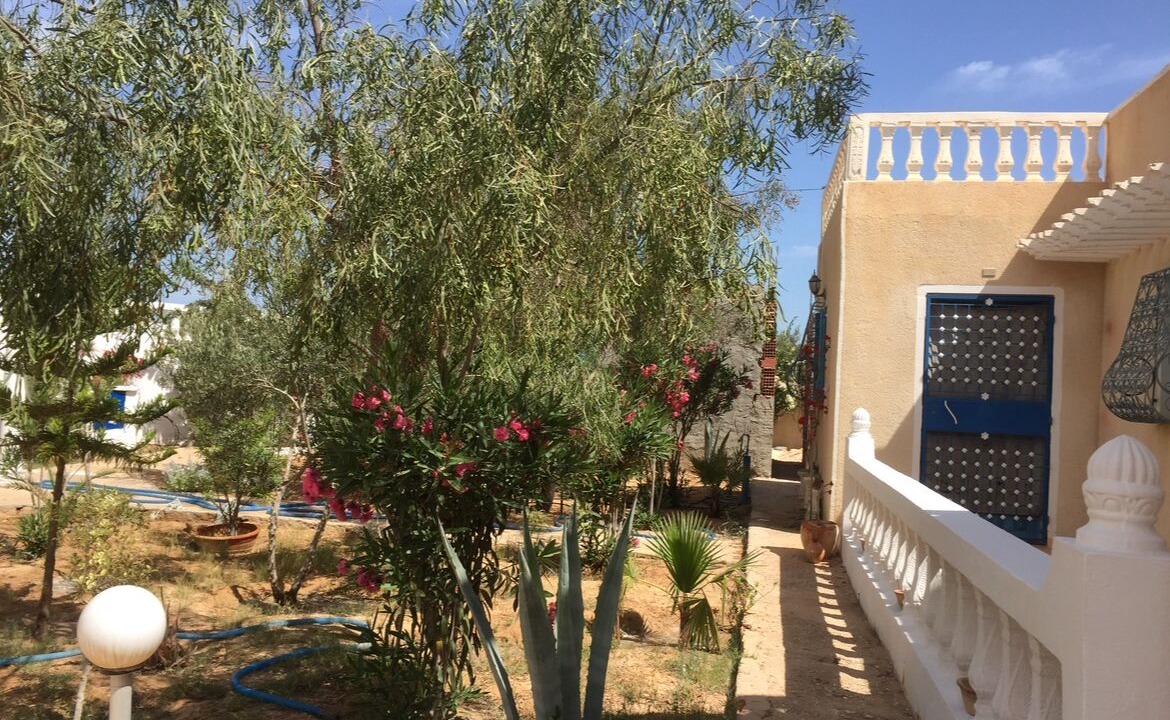 Photo of Outdoor in Erriadh