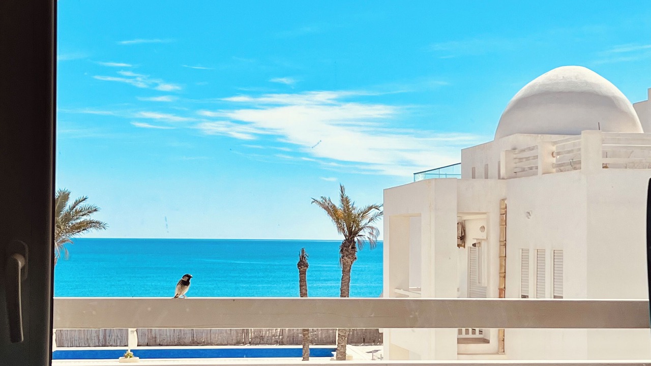 Photo of Others in Tunisia