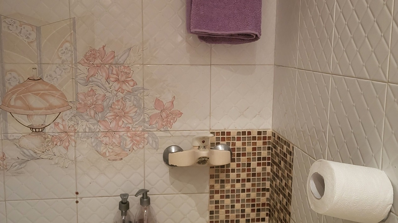 Photo of Bathroom in La Marsa