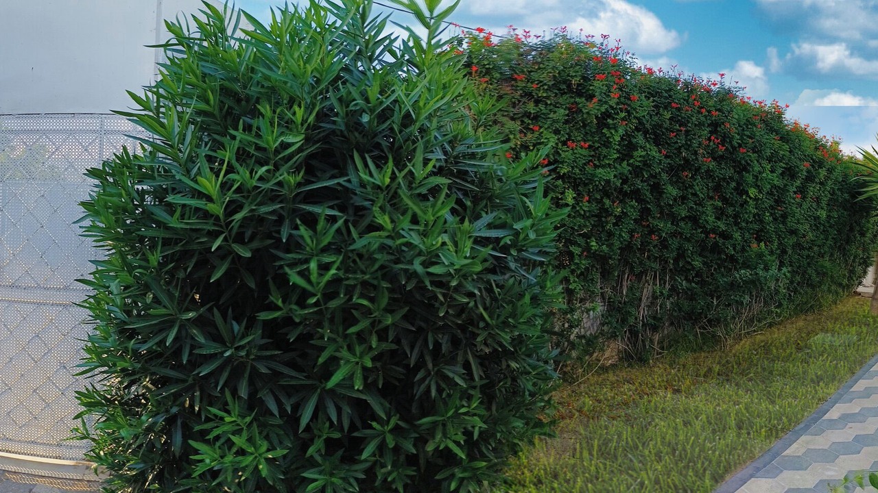 Photo of Outdoor in La Marsa
