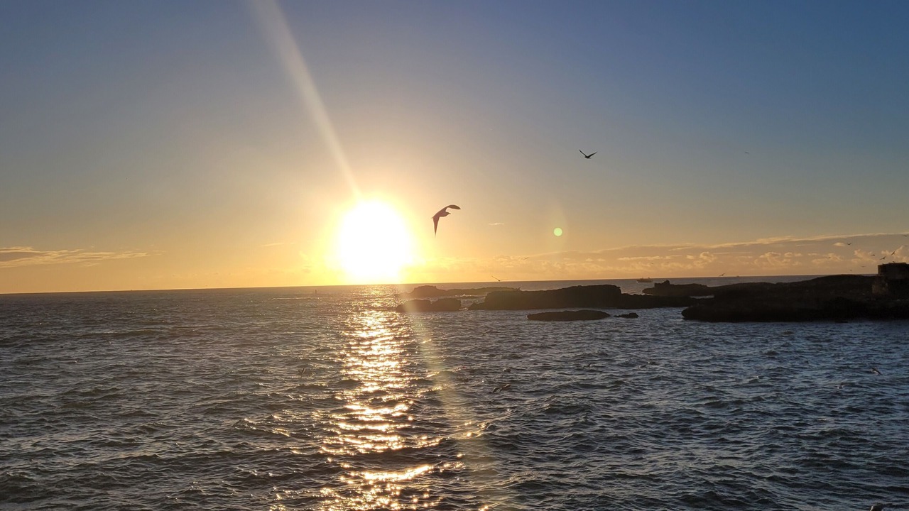 Photo of Others in Essaouira