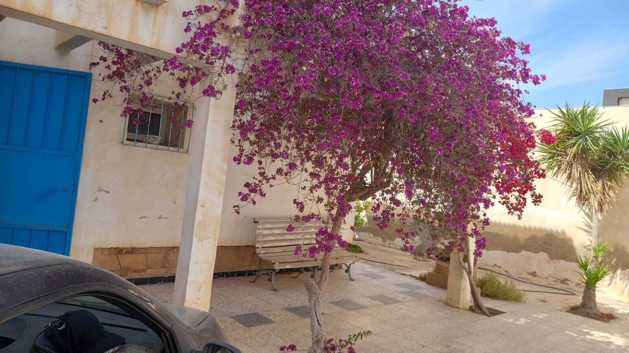 Photo of Outdoor in Gafsa