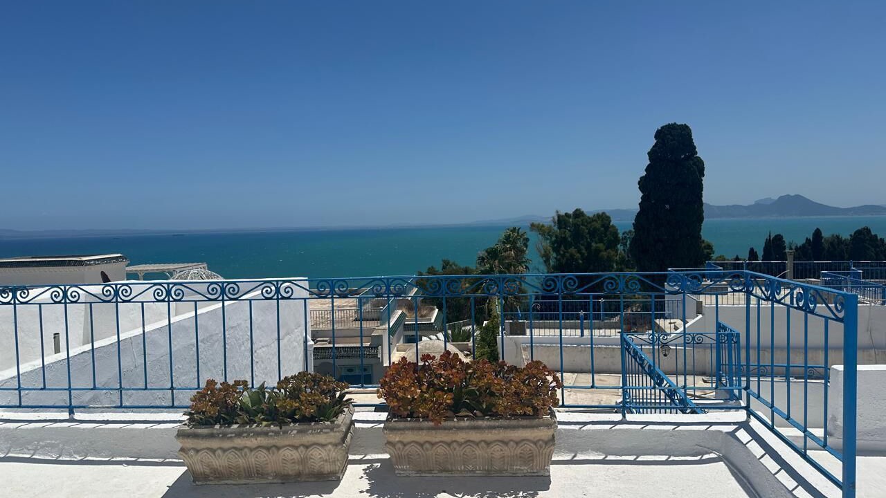 Photo of Outdoor in Sidi Bou Said