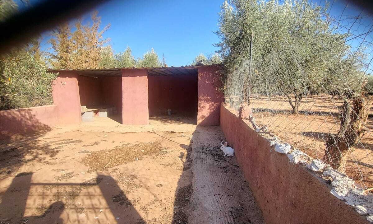 Photo of Outdoor in Ait Zat
