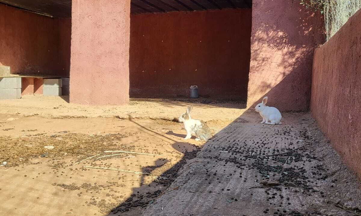 Photo of Outdoor in Ait Zat