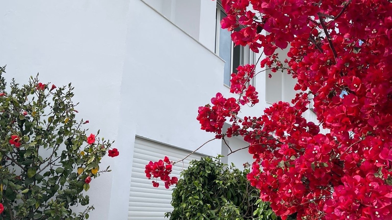 Photo of Outdoor in Yasmine