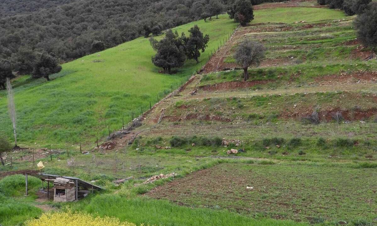 Photo of Others in Beni Mellal