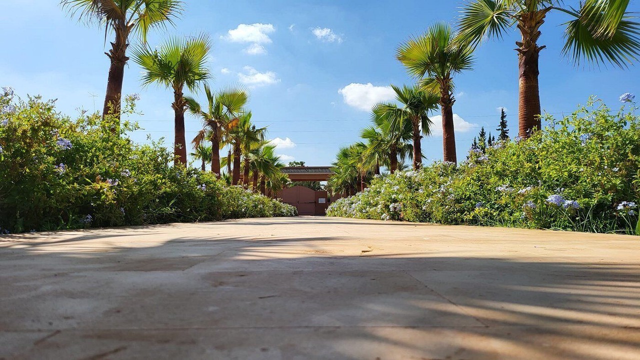 Photo of Outdoor in Marrakech