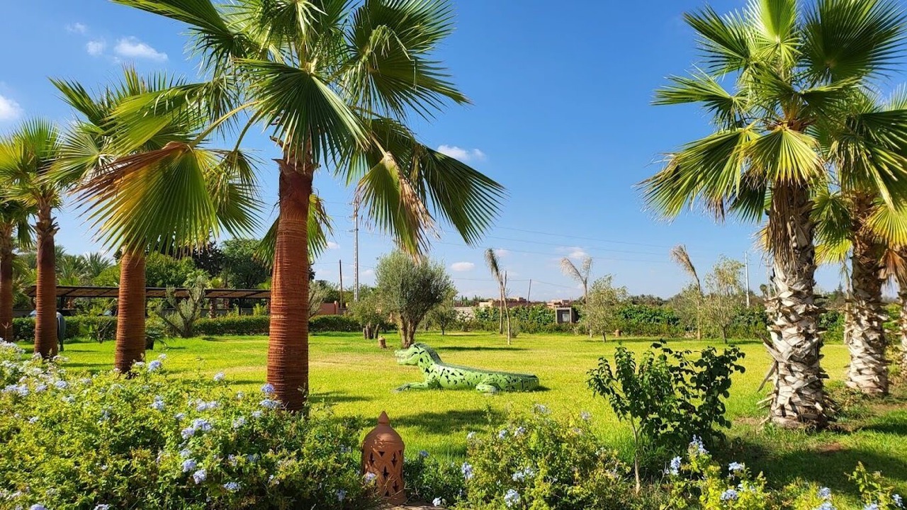 Photo of Outdoor in Marrakech
