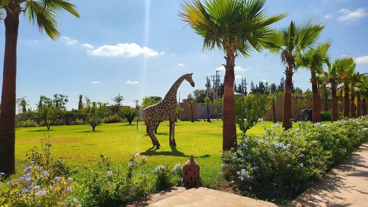 Photo of Outdoor in Marrakech