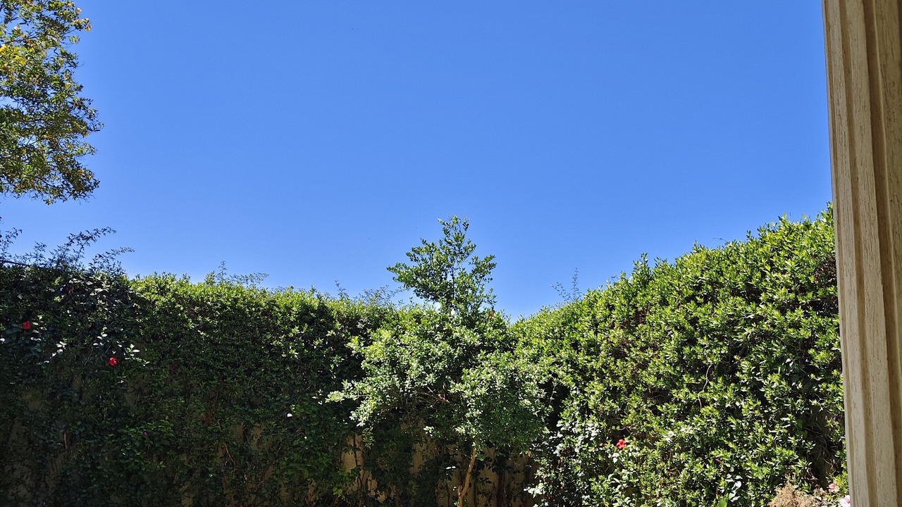Photo of Outdoor in Iking Maryut