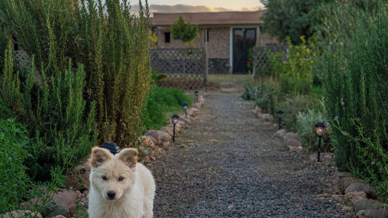 Photo of Outdoor in Tameslouht