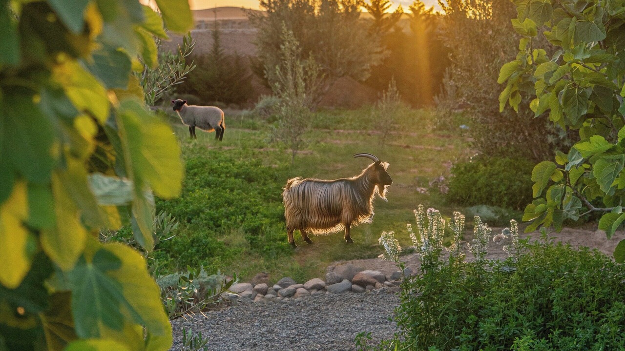 Photo of Others in Tameslouht