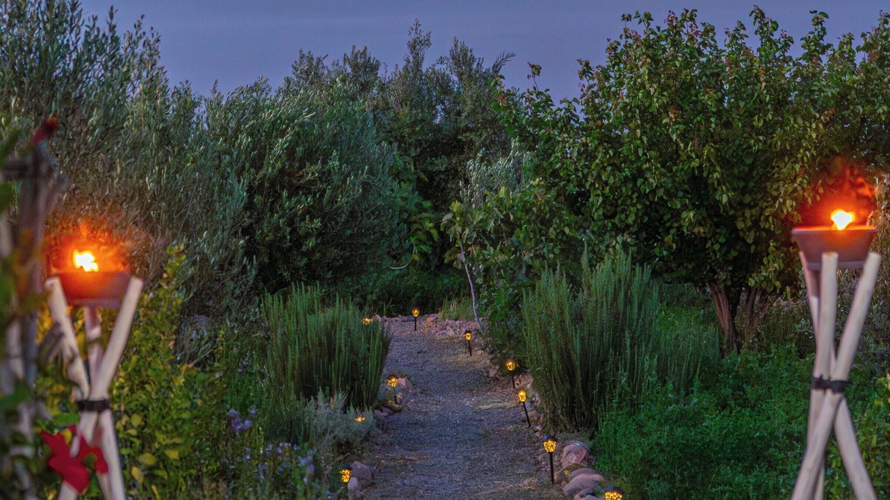 Photo of Outdoor in Tameslouht