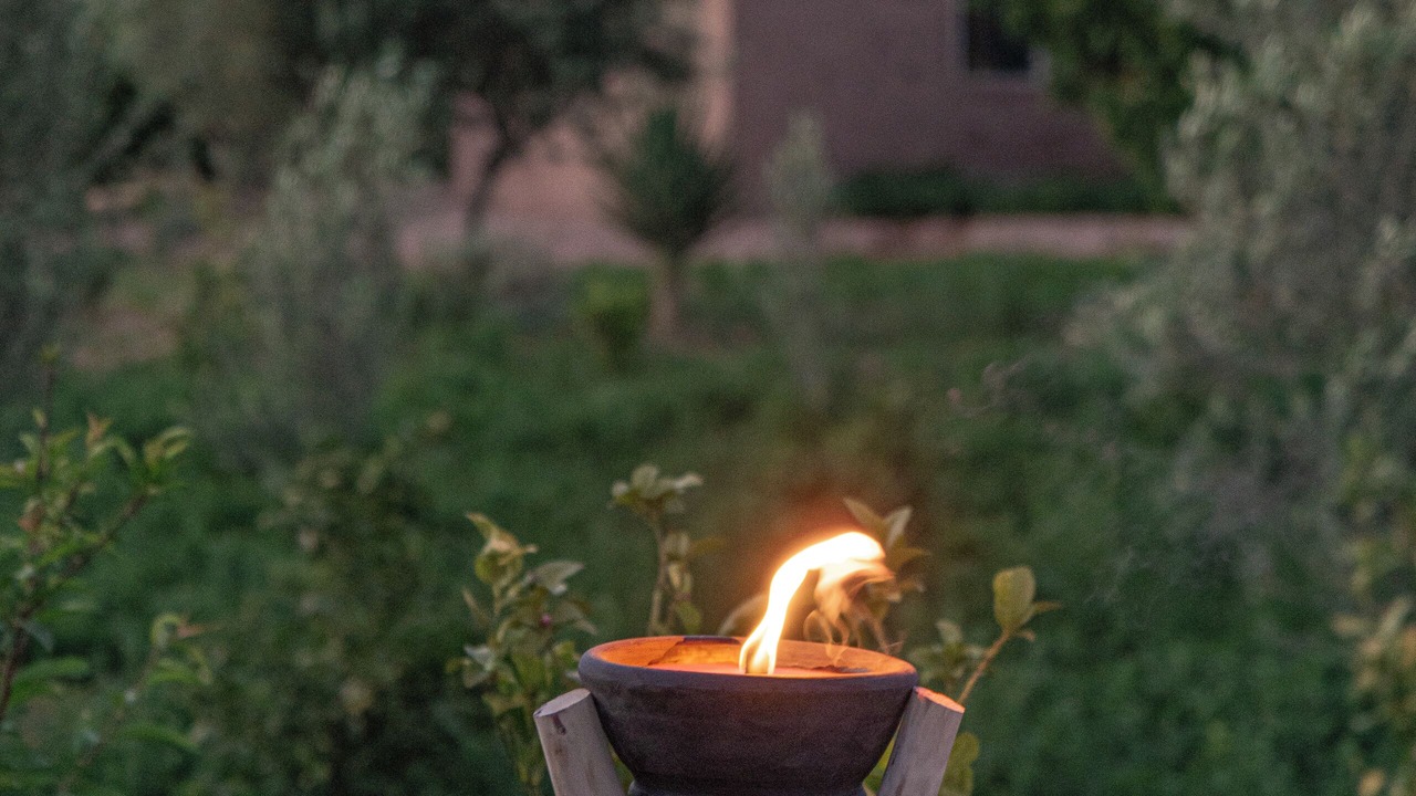Photo of Outdoor in Tameslouht