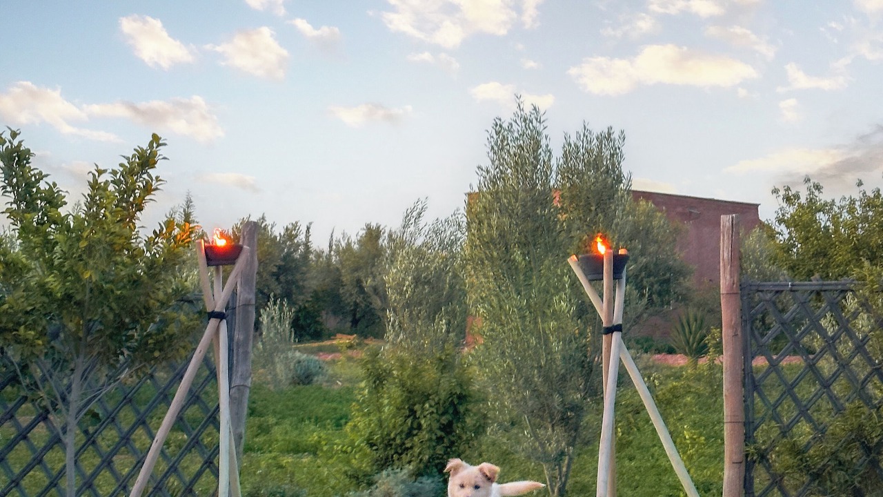 Photo of Outdoor in Tameslouht
