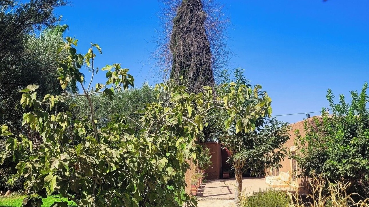 Photo of Outdoor in Tamazouzte
