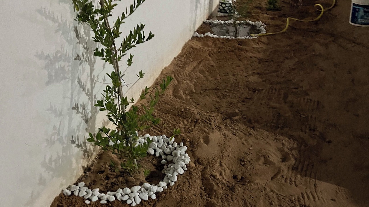 Photo of Outdoor in Houmt Souk