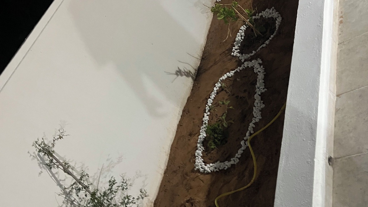 Photo of Outdoor in Houmt Souk