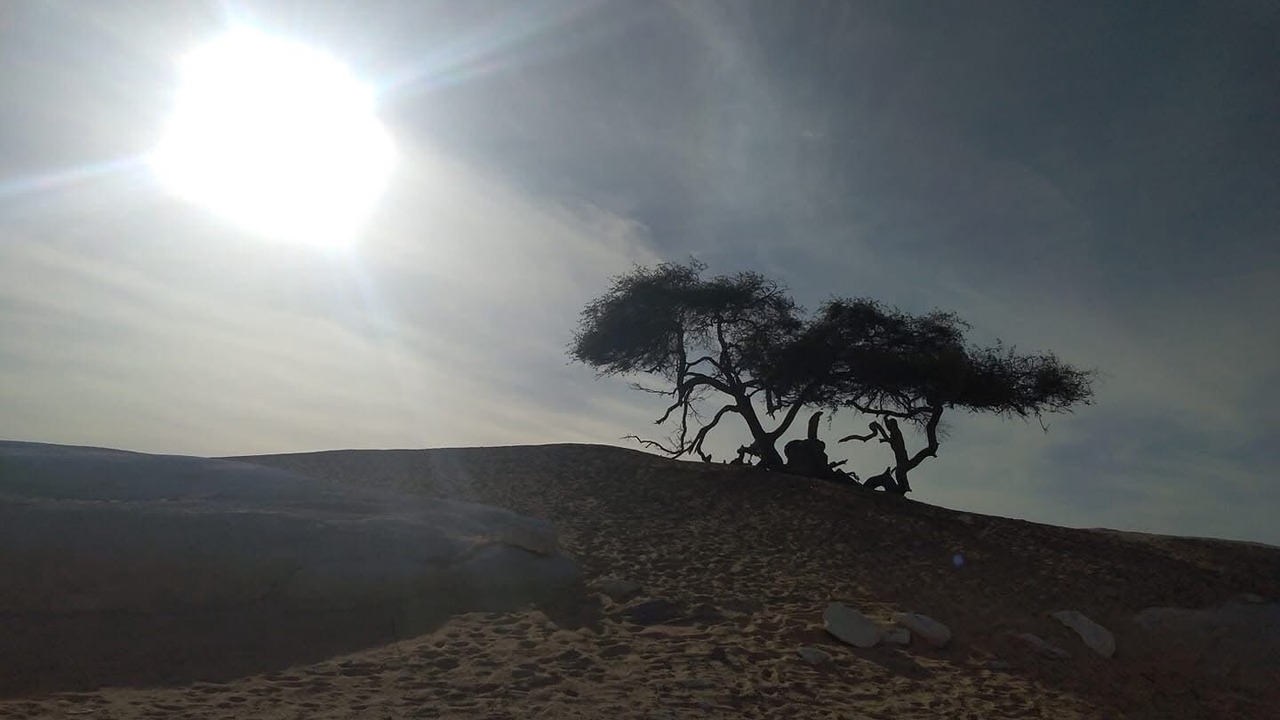 Photo of Others in Al Bawiti