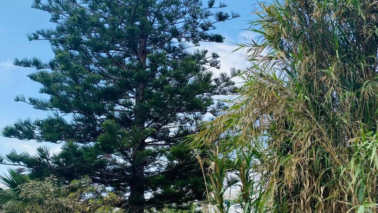 Photo of Outdoor in Beni Atta