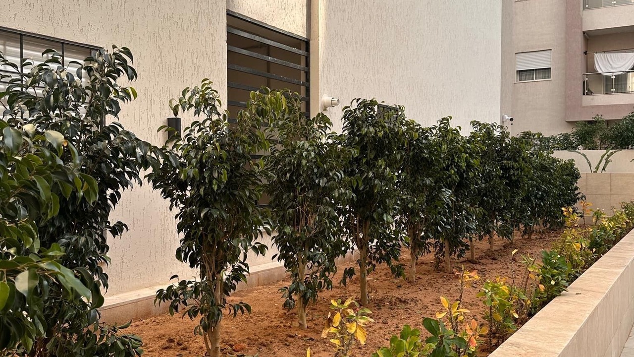 Photo of Outdoor in Tunis