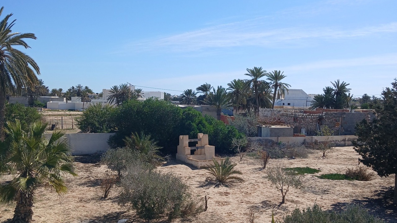 Photo of Others in Mezraia