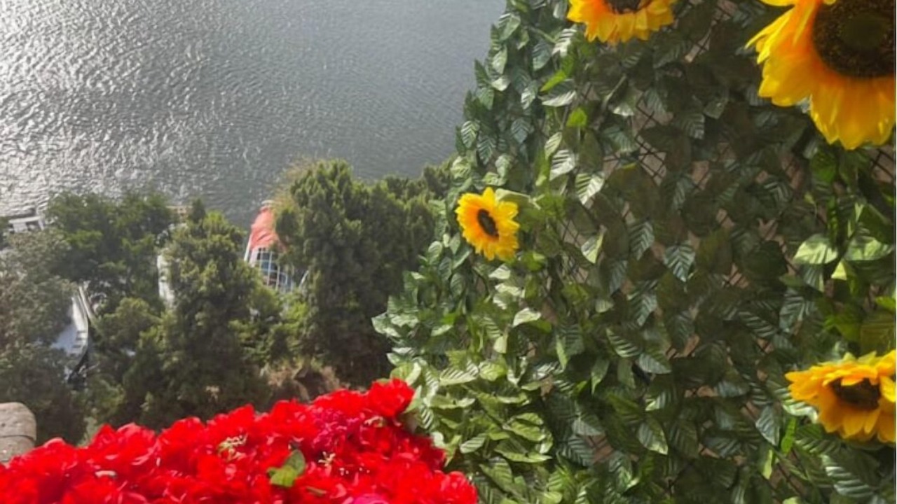 Photo of Outdoor in Agouza