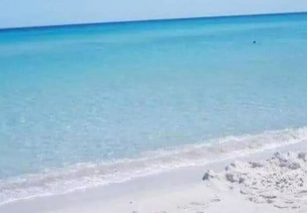 Photo of Others in Kelibia