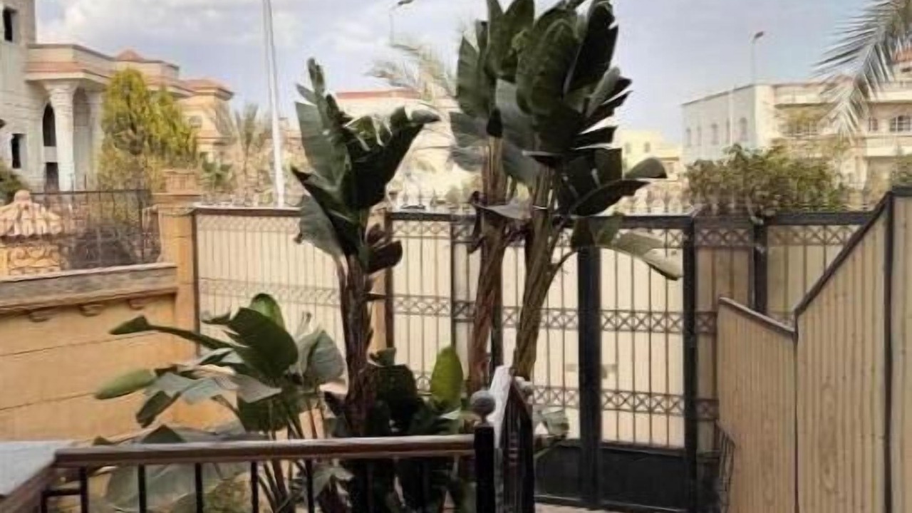 Photo of Outdoor in Giza Governorate