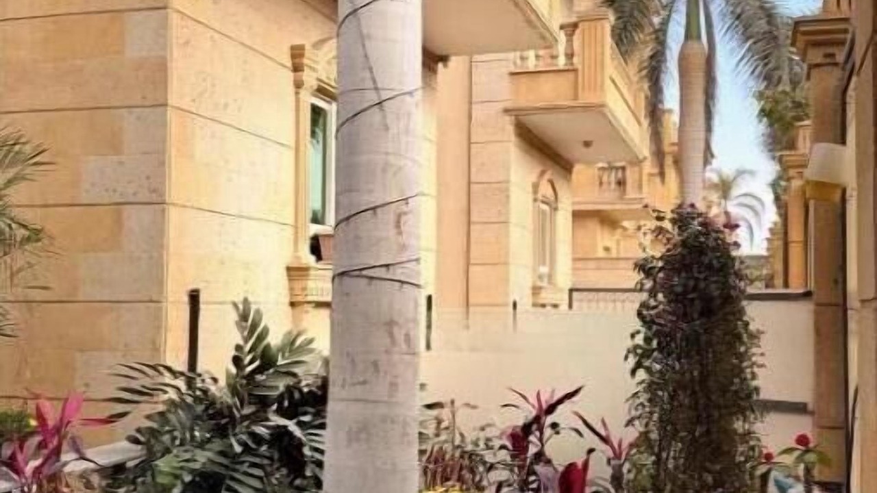 Photo of Outdoor in Giza Governorate