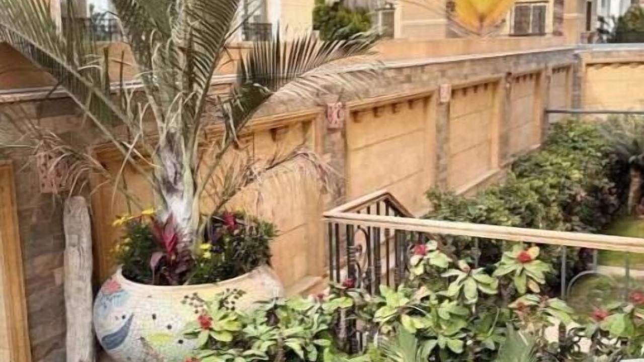 Photo of Outdoor in Giza Governorate
