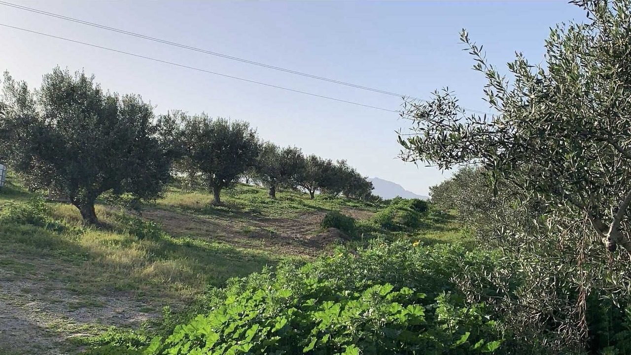 Photo of Others in Ez-Zeriba