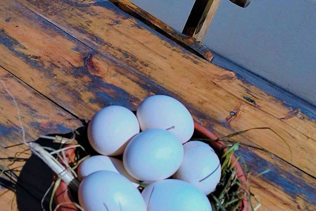 Photo of Others in Ez-Zeriba