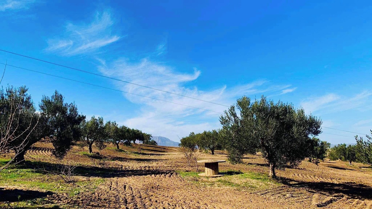 Photo of Others in Ez-Zeriba