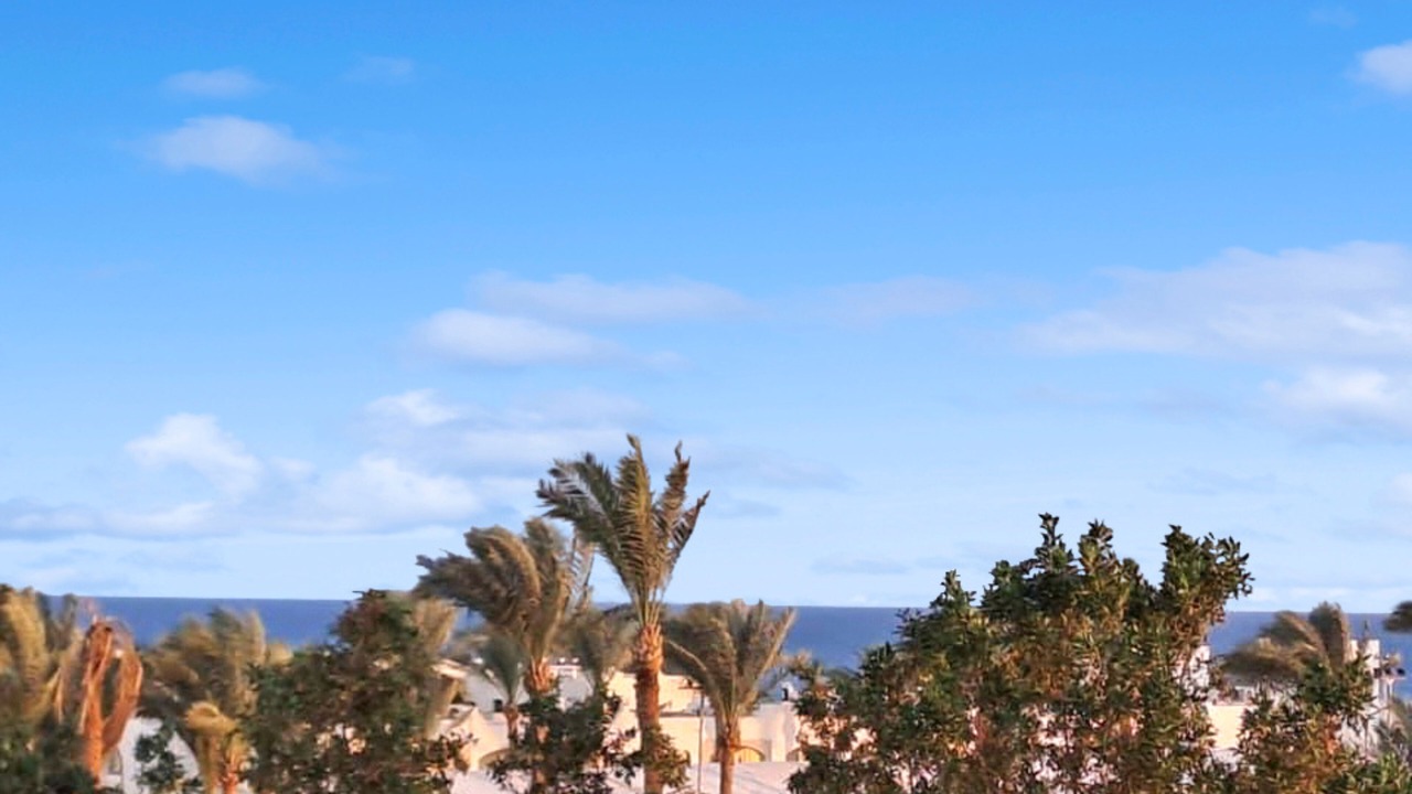 Photo of Others in Sharm El Sheikh
