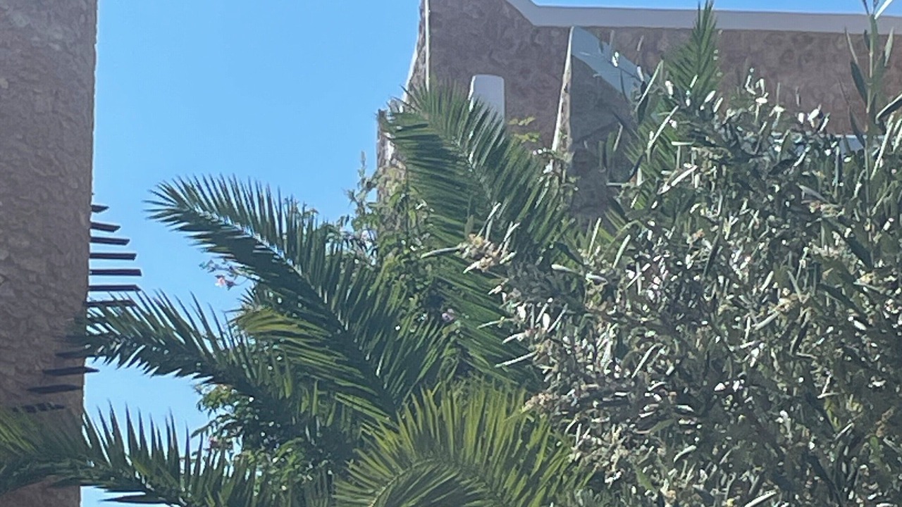 Photo of Outdoor in Afrate Haissoun