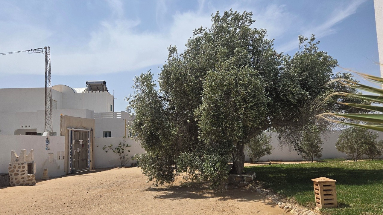 Photo of Outdoor in Mellita