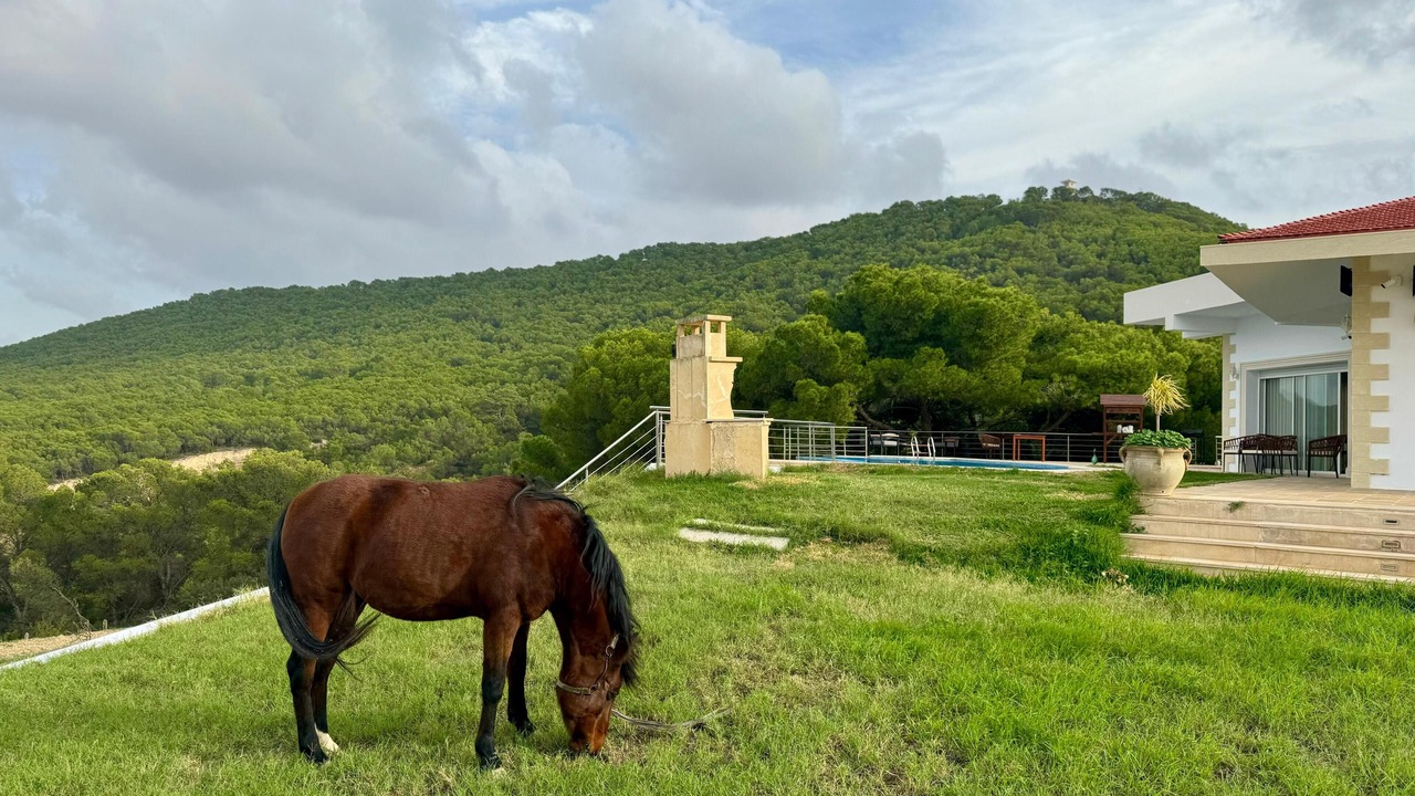 Photo of Others in Zaghouan