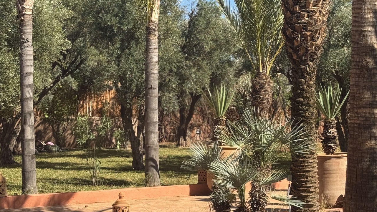 Photo of Outdoor in Tamazouzte